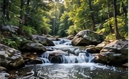 Woodland creek